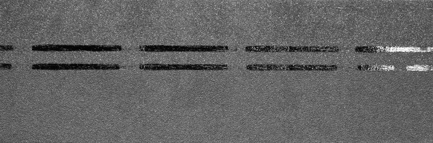 Коньково-карнизная черепица Docke, Premium, Черника купить в Симферополe